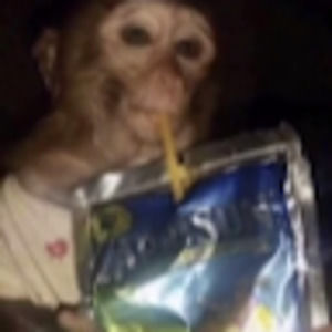 Meet your Posher, Riley